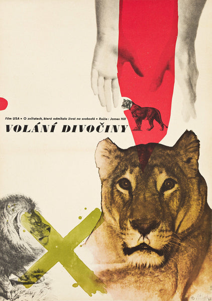 CALL OF THE WILD - Czech