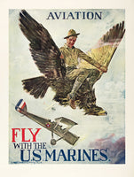 AVIATION / FLY WITH THE U.S. MARINES.